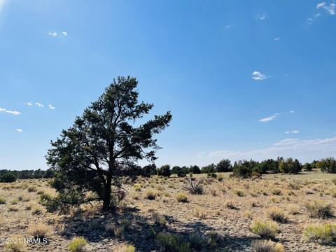 4752 Lasso Loop, Williams, AZ 86046 photo 4