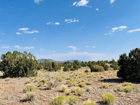 4752 Lasso Loop, Williams, AZ 86046 photo 13