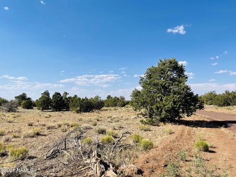 4752 Lasso Loop, Williams, AZ 86046 photo 15