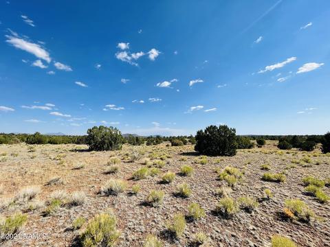 4752 Lasso Loop, Williams, AZ 86046 photo 3