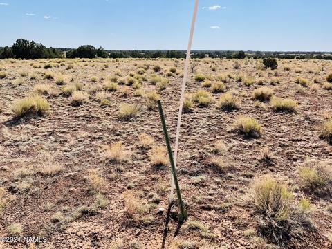 4752 Lasso Loop, Williams, AZ 86046 photo 17