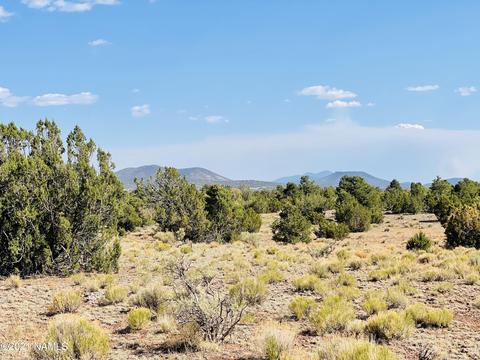 4752 Lasso Loop, Williams, AZ 86046 photo 2