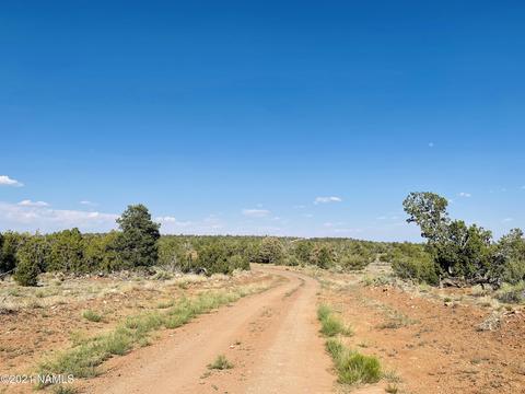 4752 Lasso Loop, Williams, AZ 86046 photo 12