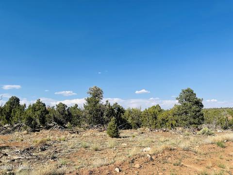 4752 Lasso Loop, Williams, AZ 86046 photo 18