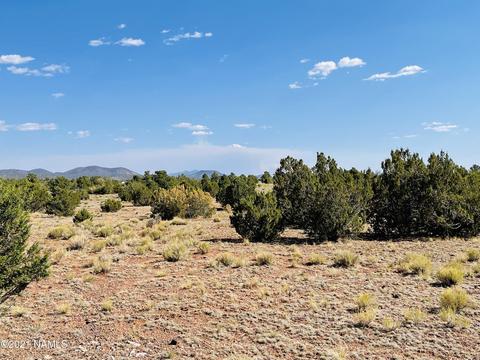 4752 Lasso Loop, Williams, AZ 86046 photo 14