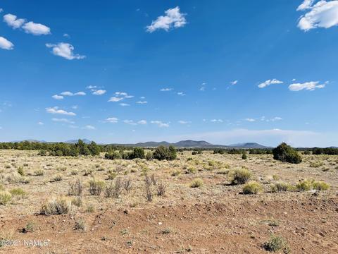 4752 Lasso Loop, Williams, AZ 86046 photo 11