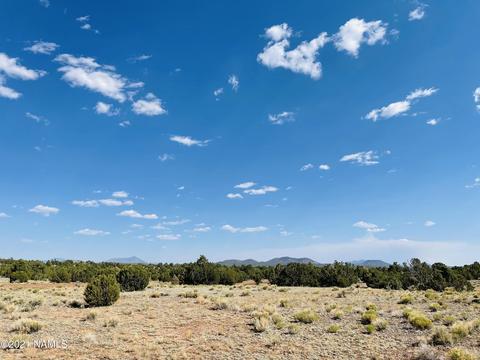 4752 Lasso Loop, Williams, AZ 86046 photo 9