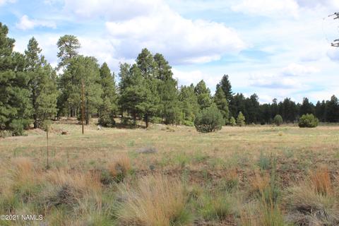 6701 Eagle Crest Dr, Flagstaff, AZ 86004 photo 31