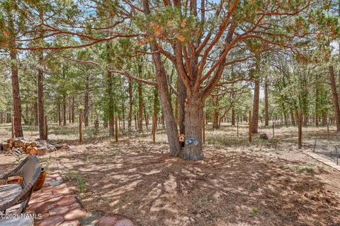 5809 E Ridge Dr, Flagstaff, AZ 86004 photo 28