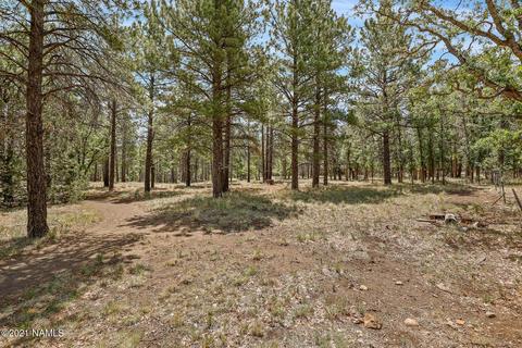 5809 E Ridge Dr, Flagstaff, AZ 86004 photo 29
