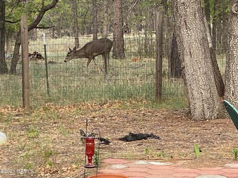 5809 E Ridge Dr, Flagstaff, AZ 86004 photo 33