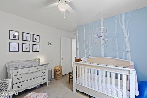 733 E Crestview Ave, Flagstaff, AZ 86001 photo 20