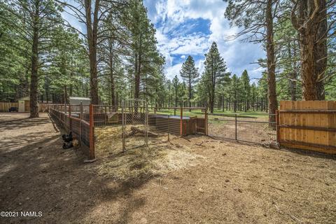 7250 E Long Bow Dr, Williams, AZ 86046 photo 28
