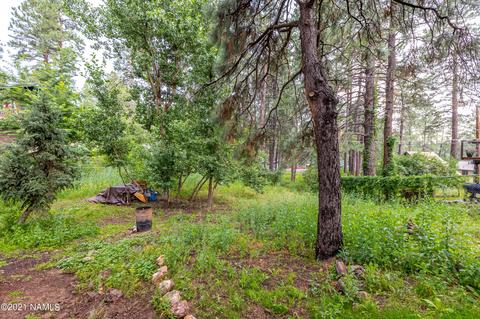746 Comanche St, Flagstaff, AZ 86001 photo 21