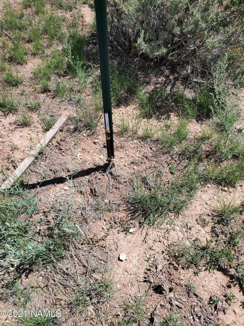 4688 S Second Ave, Williams, AZ 86046 photo 9