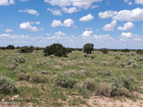 4688 S Second Ave, Williams, AZ 86046 photo 1