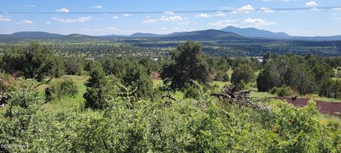 1808 E Sagebrush Rd, Williams, AZ 86046 photo 21