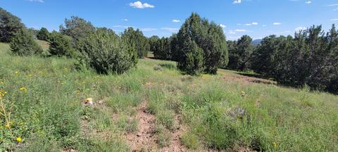 1808 E Sagebrush Rd, Williams, AZ 86046 photo 13