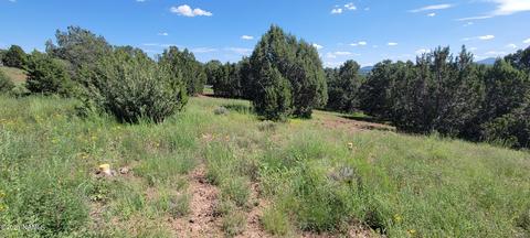 1808 E Sagebrush Rd, Williams, AZ 86046 photo 14