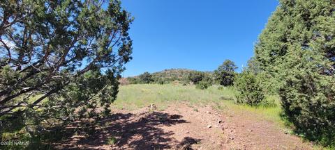 1808 E Sagebrush Rd, Williams, AZ 86046 photo 15