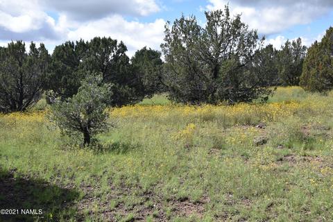 1036 E Tamarack St, Williams, AZ 86046 photo 3