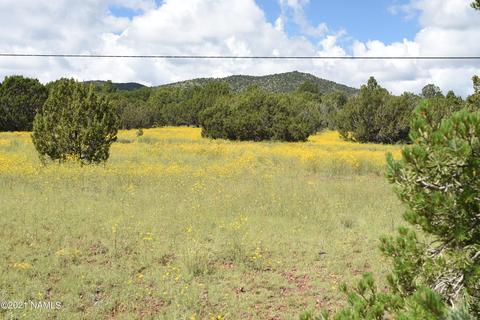 1036 E Tamarack St, Williams, AZ 86046 photo 12
