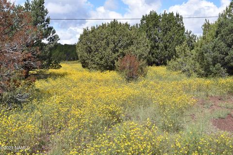 1036 E Tamarack St, Williams, AZ 86046 photo 6
