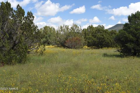 1036 E Tamarack St, Williams, AZ 86046 photo 11