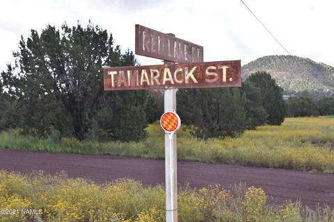 1036 E Tamarack St, Williams, AZ 86046 photo 13