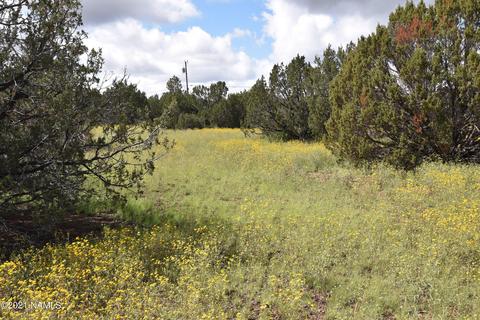 1036 E Tamarack St, Williams, AZ 86046 photo 5