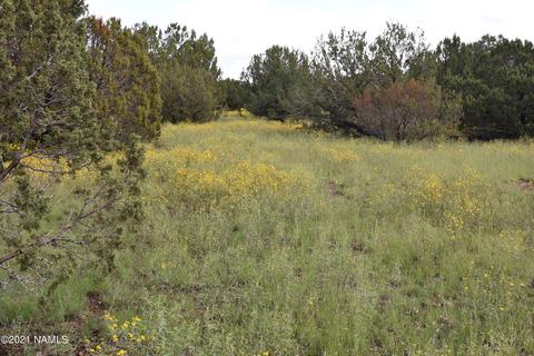 1036 E Tamarack St, Williams, AZ 86046 photo 8