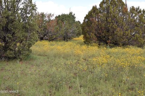1036 E Tamarack St, Williams, AZ 86046 photo 7