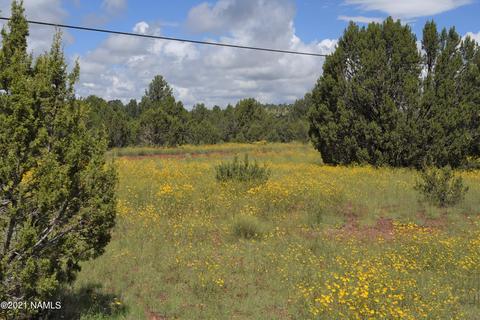 1036 E Tamarack St, Williams, AZ 86046 photo 2
