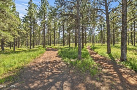 6641 Eagle Crest Dr, Flagstaff, AZ 86004 photo 31
