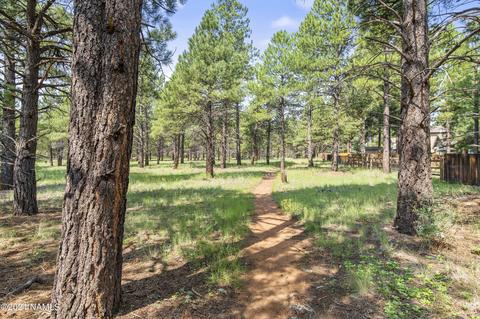 11 E Quartz Rd, Flagstaff, AZ 86005 photo 5