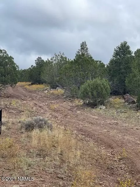1825 Quinci Ln, Williams, AZ 86046