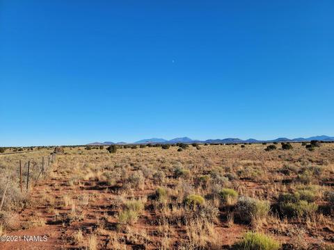 2720 E White Cloud Rd, Williams, AZ 86046 photo 3