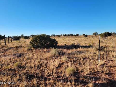 2720 E White Cloud Rd, Williams, AZ 86046 photo 15