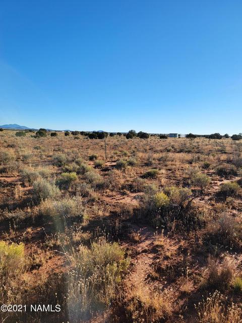 2720 E White Cloud Rd, Williams, AZ 86046 photo 4