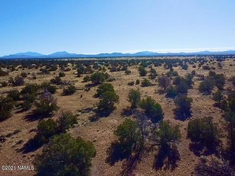 3625 E Highgrove Rd, Valle, AZ 86046 photo 4