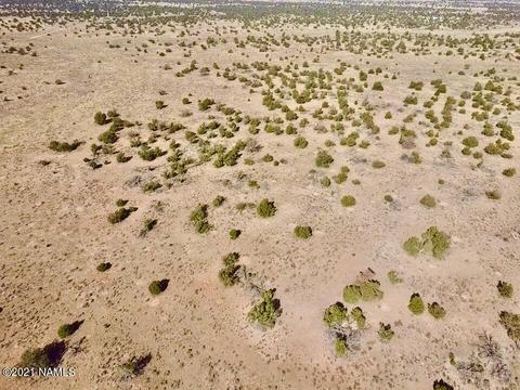 3625 E Highgrove Rd, Valle, AZ 86046 photo 6