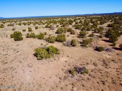 3625 E Highgrove Rd, Valle, AZ 86046 photo 5