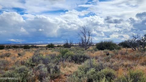 10756 W Line Cook Trl #1035, Williams, AZ 86046