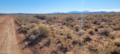 1522 E Vernon Rd, Williams, AZ 86046 photo 5