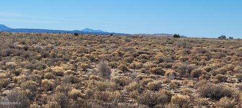 1522 E Vernon Rd, Williams, AZ 86046 photo 2