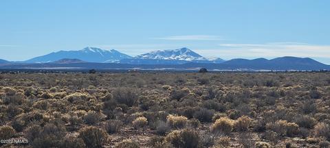 1522 E Vernon Rd, Williams, AZ 86046 photo 1