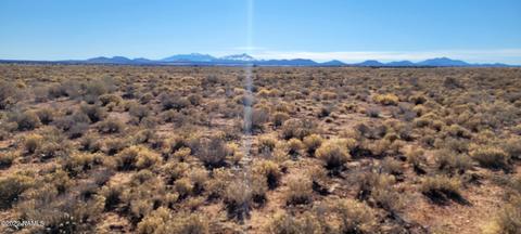 1522 E Vernon Rd, Williams, AZ 86046 photo 4