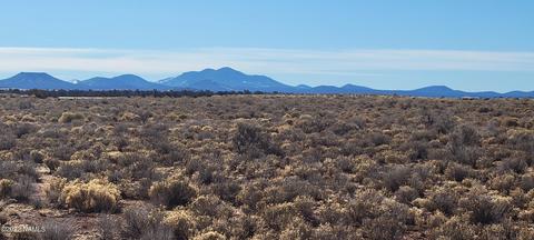 1522 E Vernon Rd, Williams, AZ 86046 photo 3