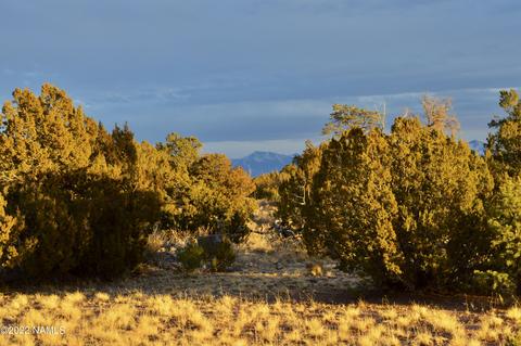 4404 E Valle Rd, Williams, AZ 86046 photo 7