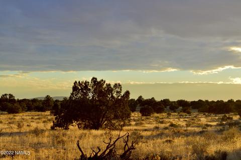 4404 E Valle Rd, Williams, AZ 86046 photo 6